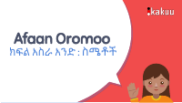lesson 11 emotions amharic.pdf